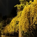西安旅游 缩略图 4
