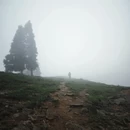 萍乡旅游 缩略图 11