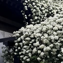西安旅游 缩略图 18