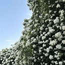 西安旅游 缩略图 15