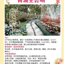上海旅游 缩略图 4