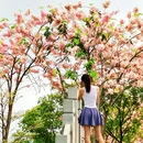 深圳旅游 缩略图 1