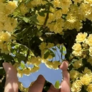 西安旅游 缩略图 8