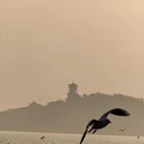 无锡旅游 缩略图 3