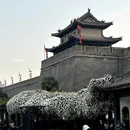 西安旅游 缩略图 14