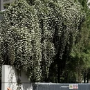 西安旅游 缩略图 9