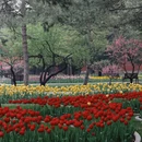 北京旅游 缩略图 2