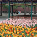 北京旅游 缩略图 6