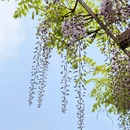 北京旅游 缩略图 4