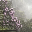 萍乡旅游 缩略图 7