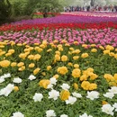 北京旅游 缩略图 6