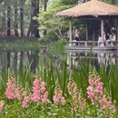 杭州旅游 缩略图 6