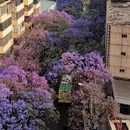 昆明旅游 缩略图 5