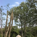 南京旅游 缩略图 4