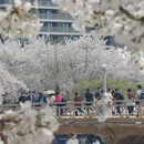 大连旅游 缩略图 16