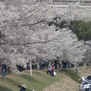 大连旅游 缩略图 15