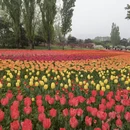 北京旅游 缩略图 2