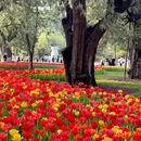 北京旅游 缩略图 7