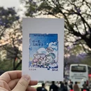 昆明旅游 缩略图 1