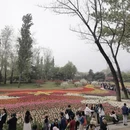 北京旅游 缩略图 5