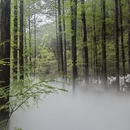 北京旅游 缩略图 10