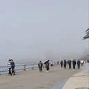 青岛旅游 缩略图 2