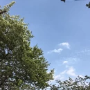 南京旅游 缩略图 5