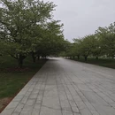 上海旅游 缩略图 5