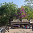 普洱旅游 缩略图 3