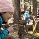 迪庆旅游 缩略图 17