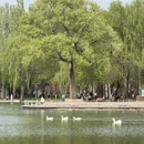 北京旅游 缩略图 9