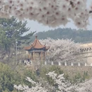 大连旅游 缩略图 13
