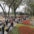 北京旅游 缩略图 3
