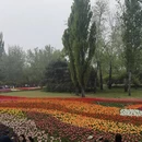 北京旅游 缩略图 7