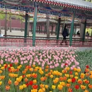 北京旅游 缩略图 10
