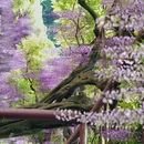上海旅游 缩略图 5