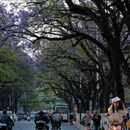 昆明旅游 缩略图 7