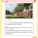 上海旅游 缩略图 11