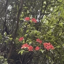 萍乡旅游 缩略图 9