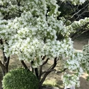 济南旅游 缩略图 4