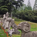 南京旅游 缩略图 6