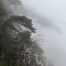 萍乡旅游 缩略图 8