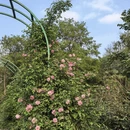 南京旅游 缩略图 6