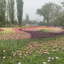 北京旅游 缩略图 9