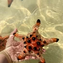 三亚旅游 缩略图 1