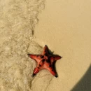 三亚旅游 缩略图 4