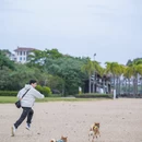 防城港旅游 缩略图 3