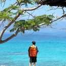 三亚旅游 缩略图 5