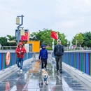 防城港旅游 缩略图 10