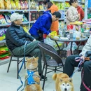 防城港旅游 缩略图 13